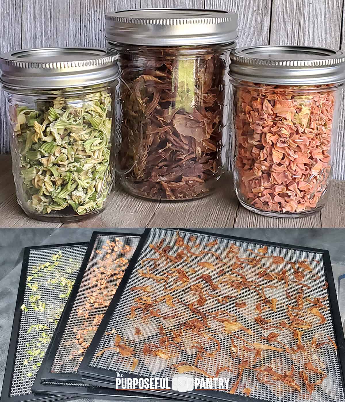 Jars of dried celery, onions and carrots on wooden backgrounds