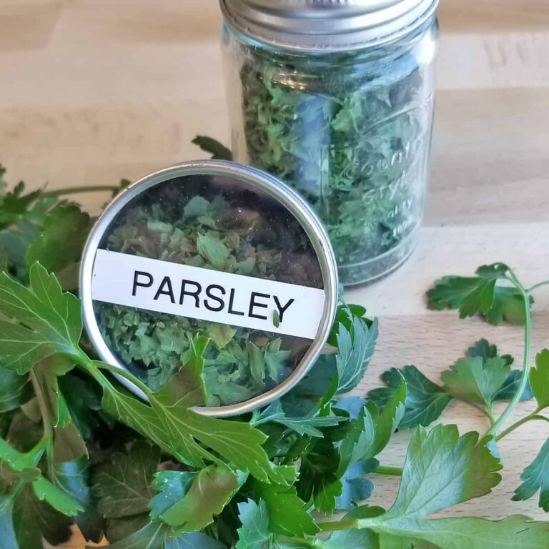 Fresh parsley and dried parsley in dried spice containers