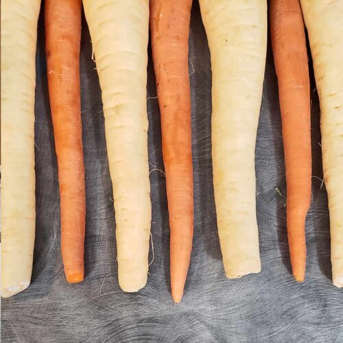 A row of carrots and parsnips alternating on a flat surface