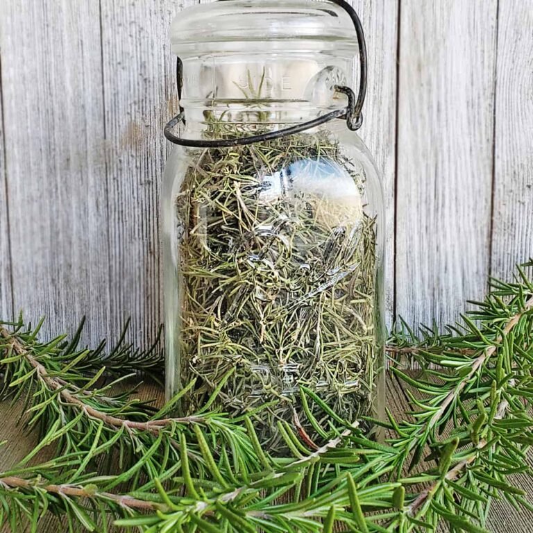 How to Dehydrate Rosemary