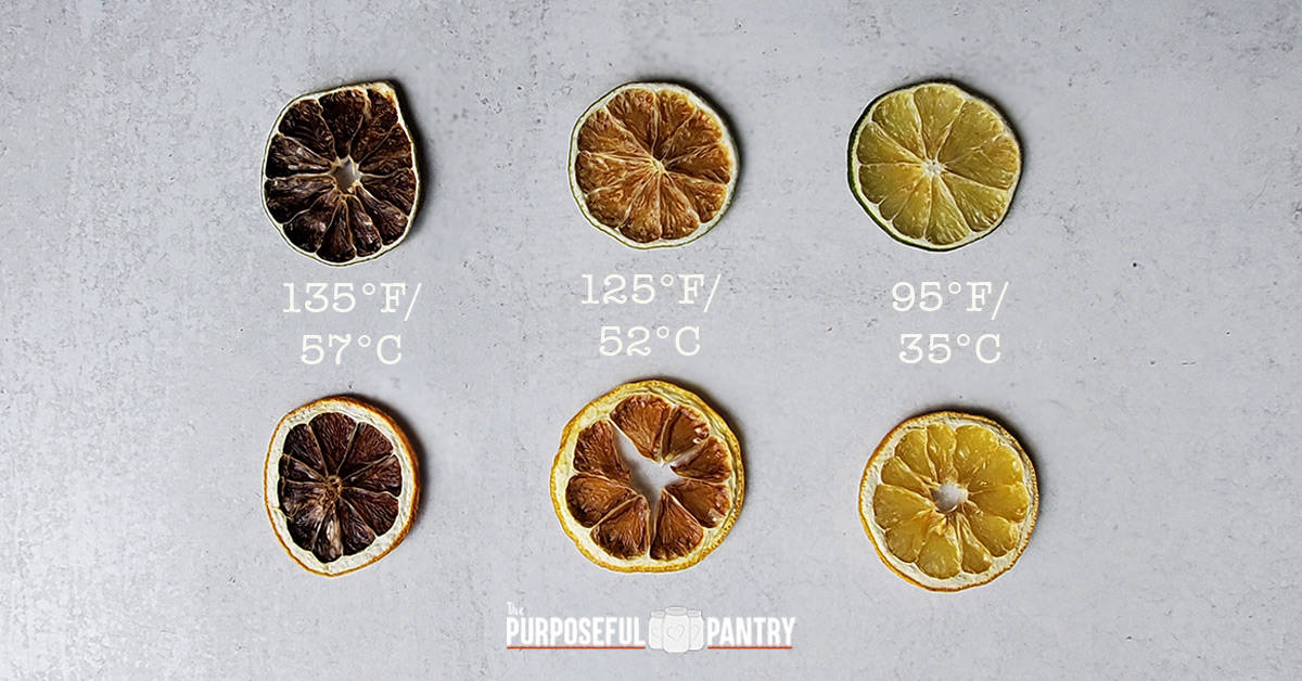 Dehydrated lemons and limes at three different temperatures to show how they brown