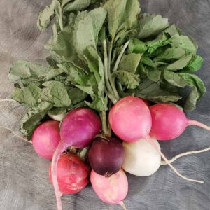 A bundle of rainbow radishes in varying shades of red, pink and white