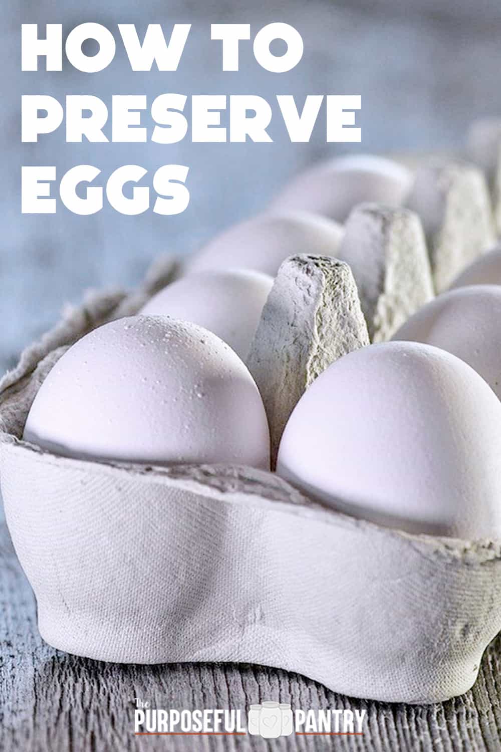 9 Ways to Preserve Eggs (Safely) The Purposeful Pantry