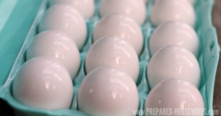 Eggs that have been coated in mineral oil for preservation in a blue egg carton