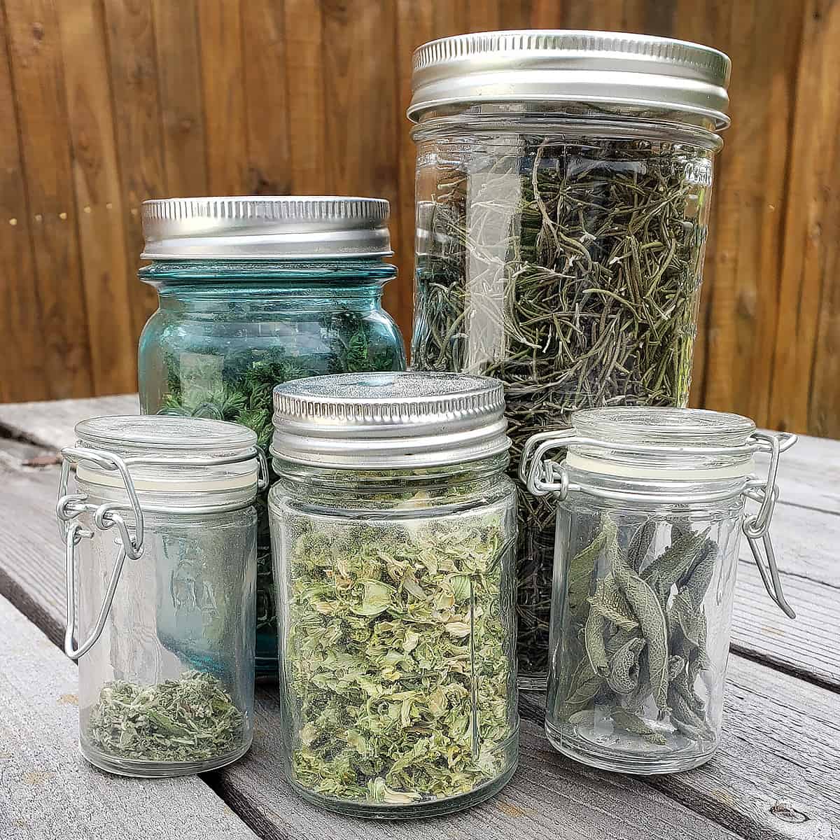 Various jars full of dried herbs