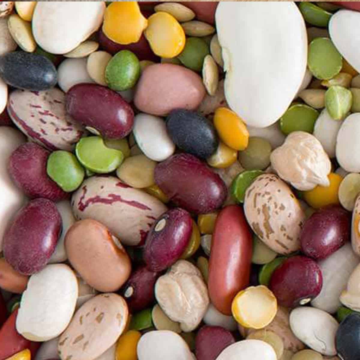 Assorted beans in a pile