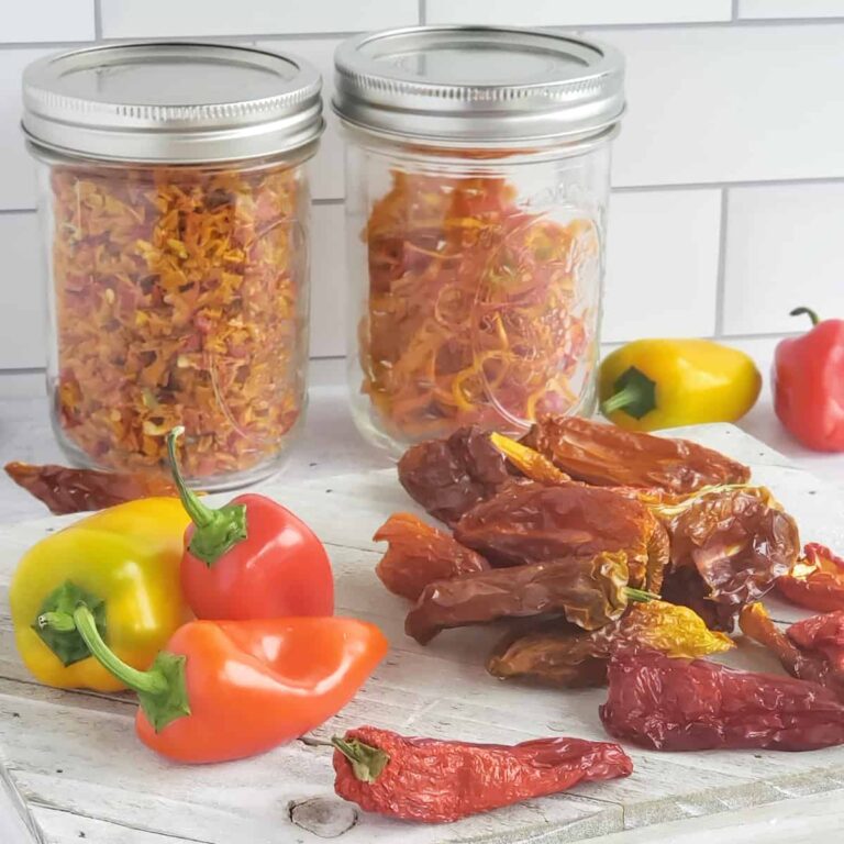 Mason jars of dehydrated sweet pepper dices, slices and whole on a wooden surface with fresh peppers in the foreground