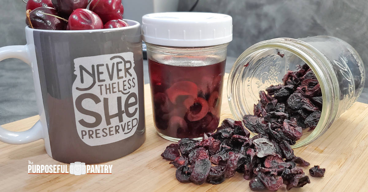 Cherries in a coffee mug, next to rehydrating cherries, and dried cherries spilling out of a canning jar