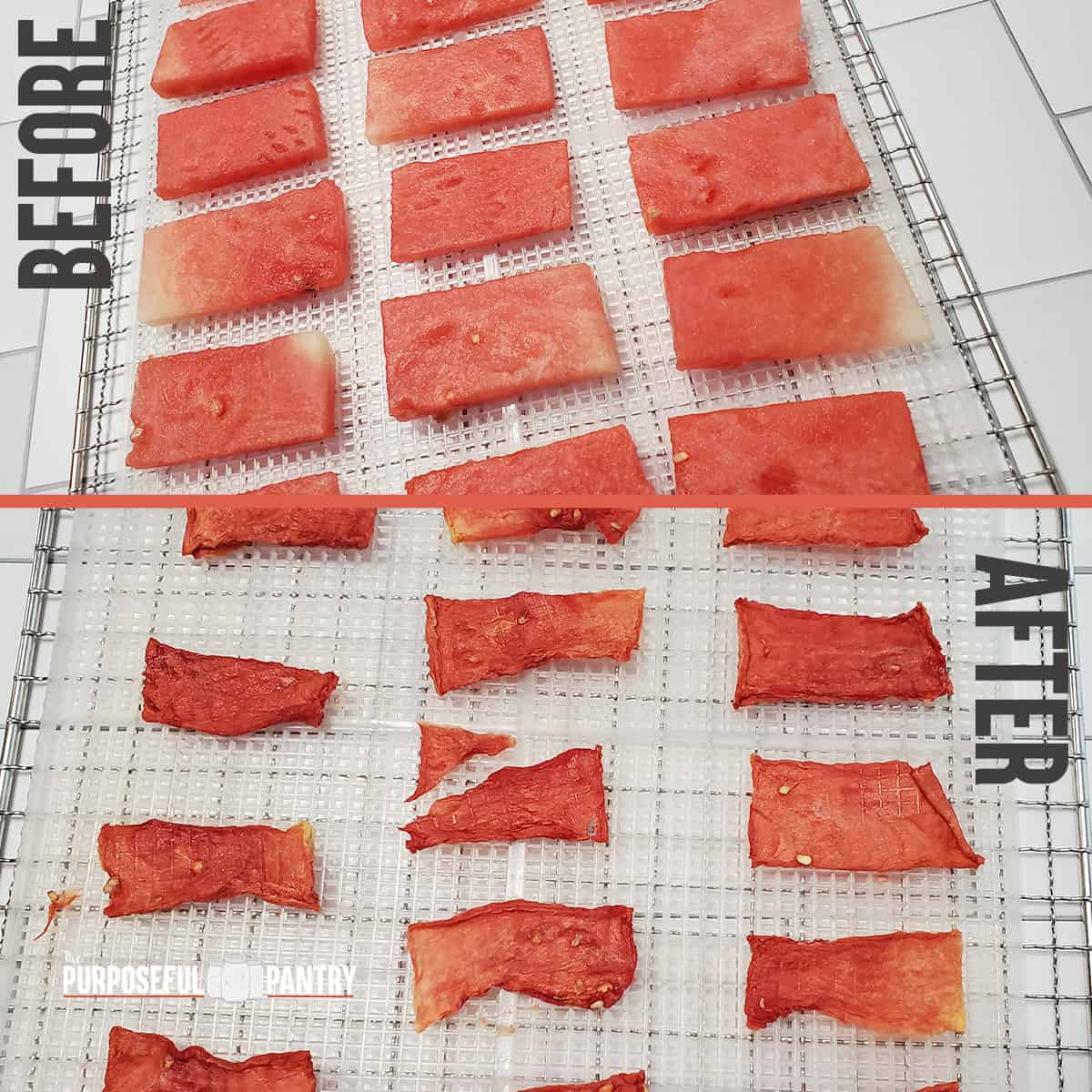 Slabs of fresh watermelon then dehydrated watermelon on Cosori dehydrator trays