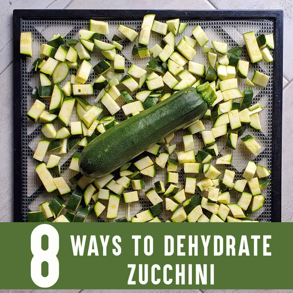 Zucchini diced on an Excalibur dehydrator tray with a fresh large zucchini on top - ready for dehydrating