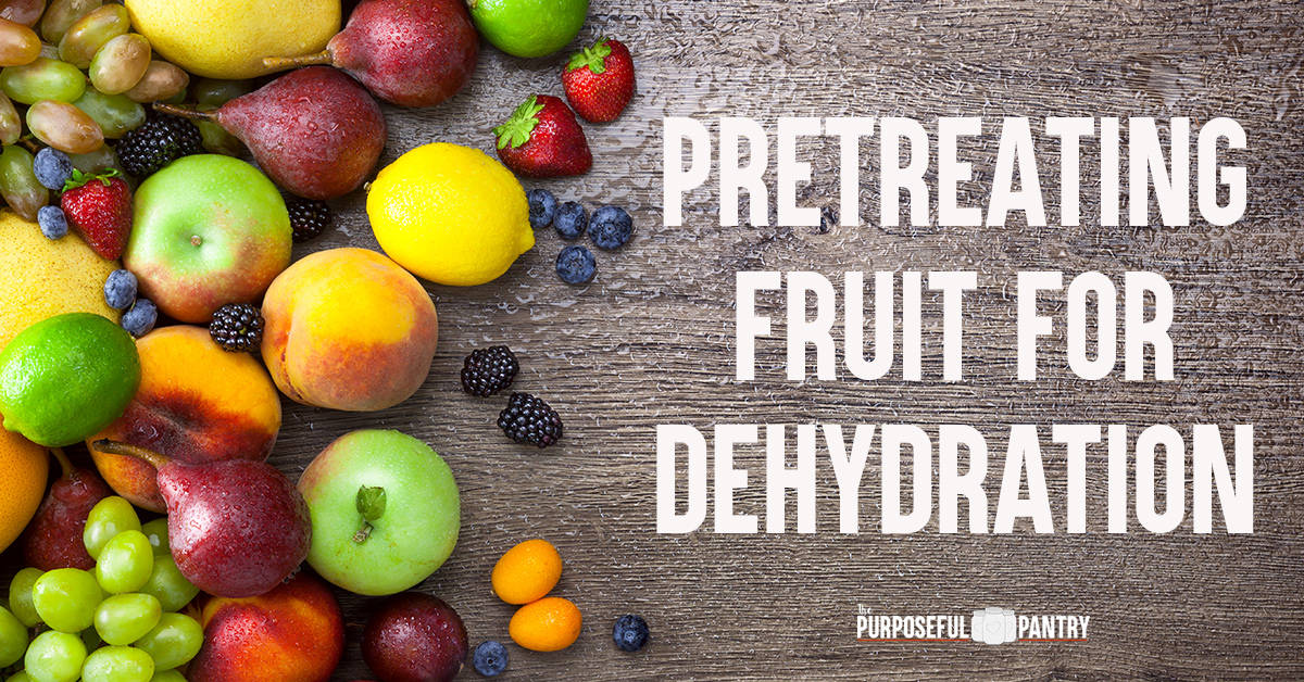 https://www.thepurposefulpantry.com/wp-content/uploads/2021/07/pretreating-fruit-for-dehydration-FB1.jpg