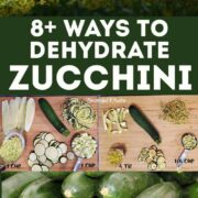 Zucchini and dehydrated zucchini in a montage of images on dehydrating zucchini for Pinterest