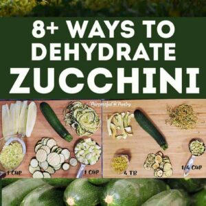 Zucchini and dehydrated zucchini in a montage of images on dehydrating zucchini for Pinterest
