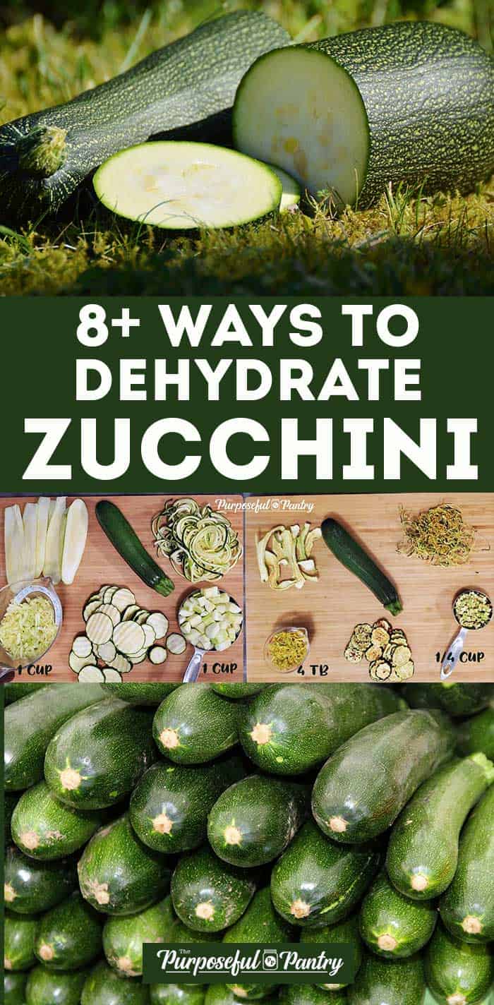 Zucchini and dehydrated zucchini in a montage of images on dehydrating zucchini for Pinterest