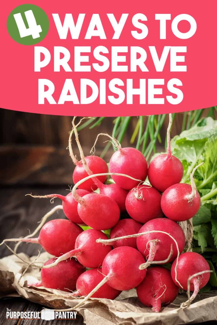 Radish bunch on a table for encouraging preservation