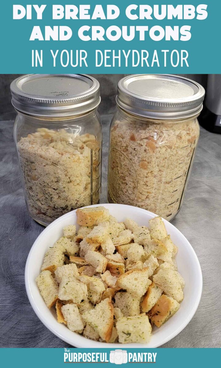 Homemade bread crumbs in mason jars and homemade croutons in a white bowl, all from the dehydrator