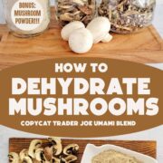 Jars of mushroom powder, dried mushroom slices and dehydrated mushroom chips
