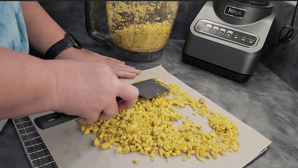 Garlic minces being spread out on a dehydrator sheet