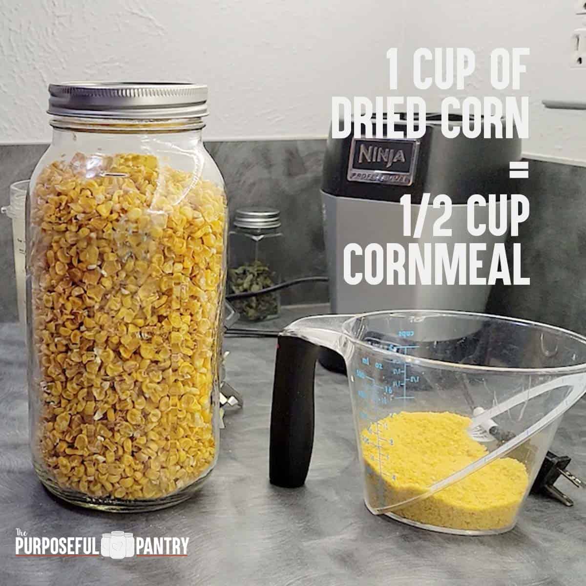 Jar of dried corn and measuring cup of corn meal made from that dehydrated corn