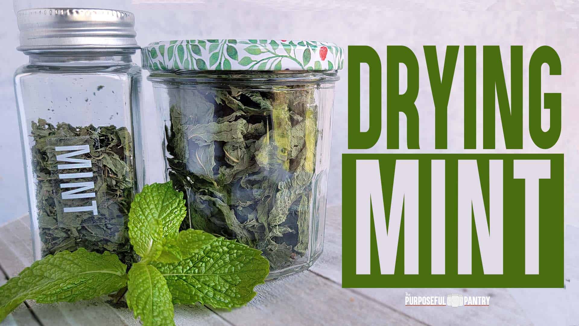 Drying Mint 4 Ways The Purposeful Pantry