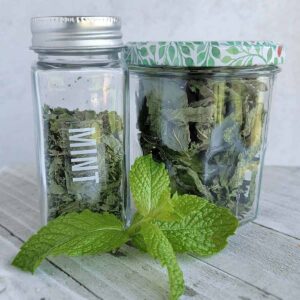 Jar of dried mint, dried mint leaves and fresh mint all on a white cutting surface