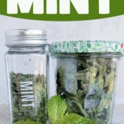 Jar of dried mint, dried mint leaves and fresh mint all on a white cutting surface