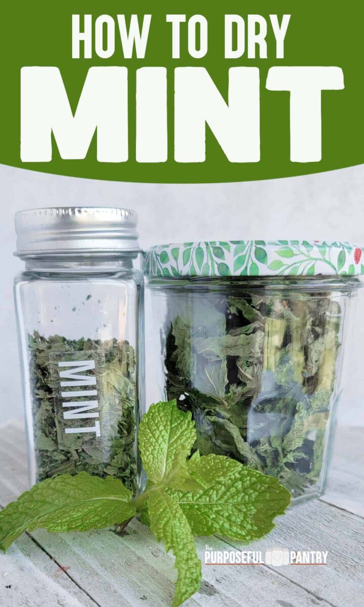 Jar of dried mint, dried mint leaves and fresh mint all on a white cutting surface