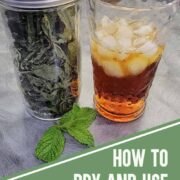 Dried mint in a jar with a glass of iced tea and a tea infuser full of dried mint for flavoring