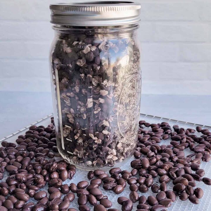 How to Dehydrate Canned Black Beans The Purposeful Pantry