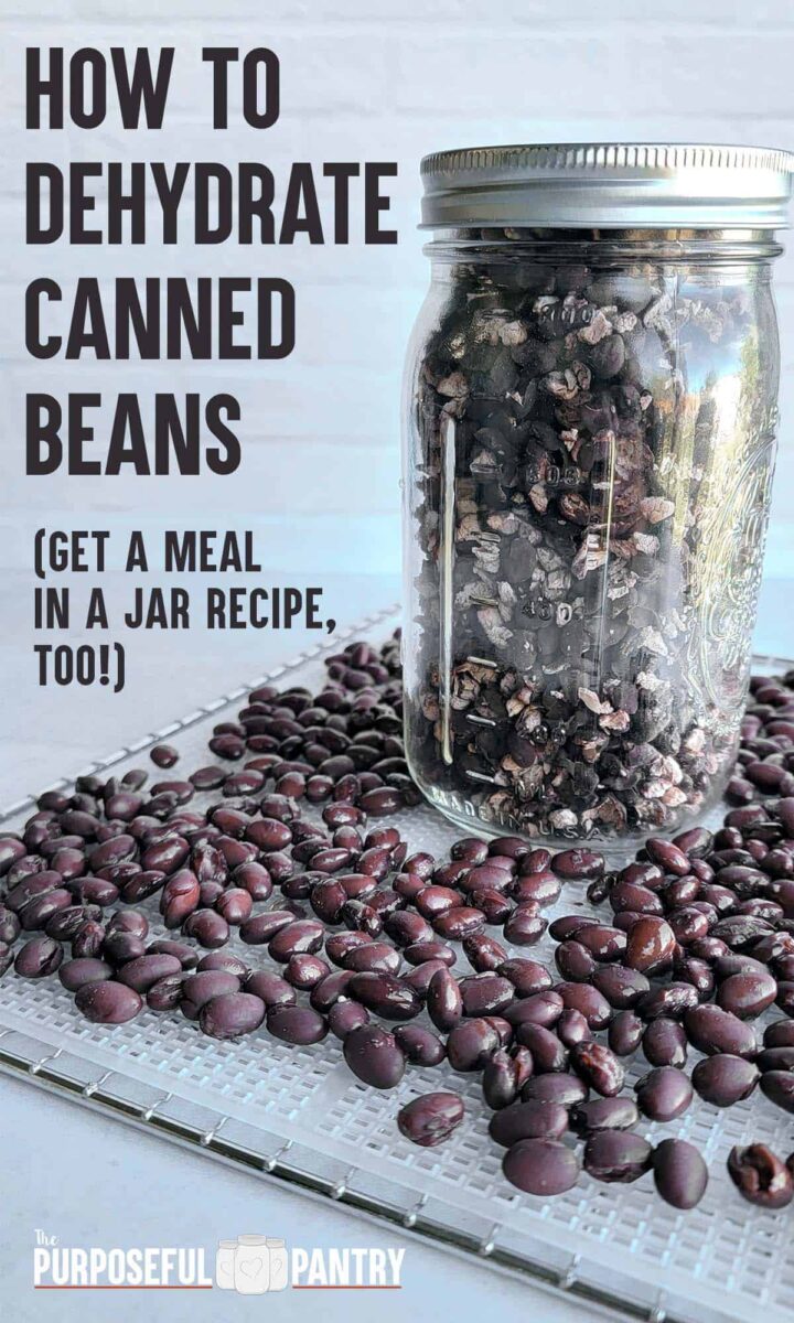 Jar of dehydrated canned beans on dehydrator tray of canned beans