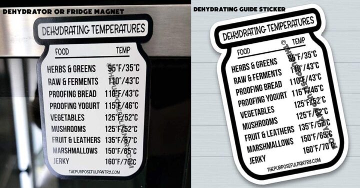 dehydrator temperature guide magnet and sticker