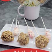 Dehydrated Marshmallow Pops in a cup and on a plate