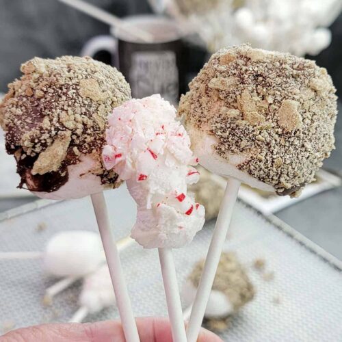Dehydrated Marshmallow Pops - S'more and Peppermint