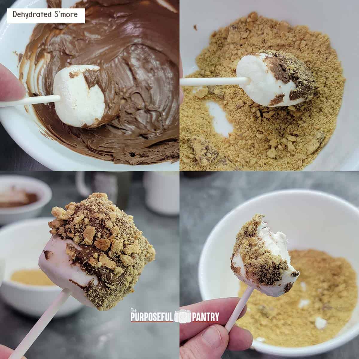 Marshmallow Pop Instructions - dip in chocolate, dip in topping, eat !
