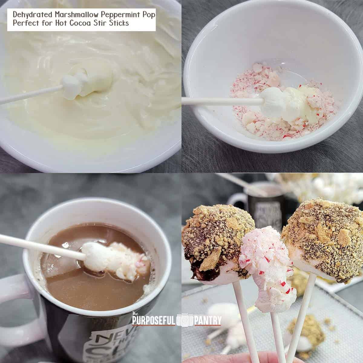 Marshmallow Pop Instructions - dip in chocolate, dip in topping, eat !