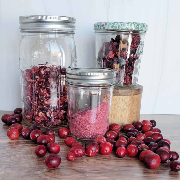 An assortment of cranberries and dried cranberries in mason jars