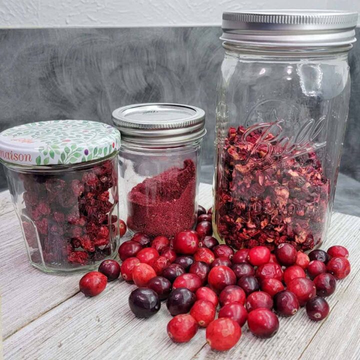 An assortment of dried cranberries and cranberry powder in mason jars