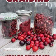 An assortment of cranberry powder, dried cranberries, and cranberries