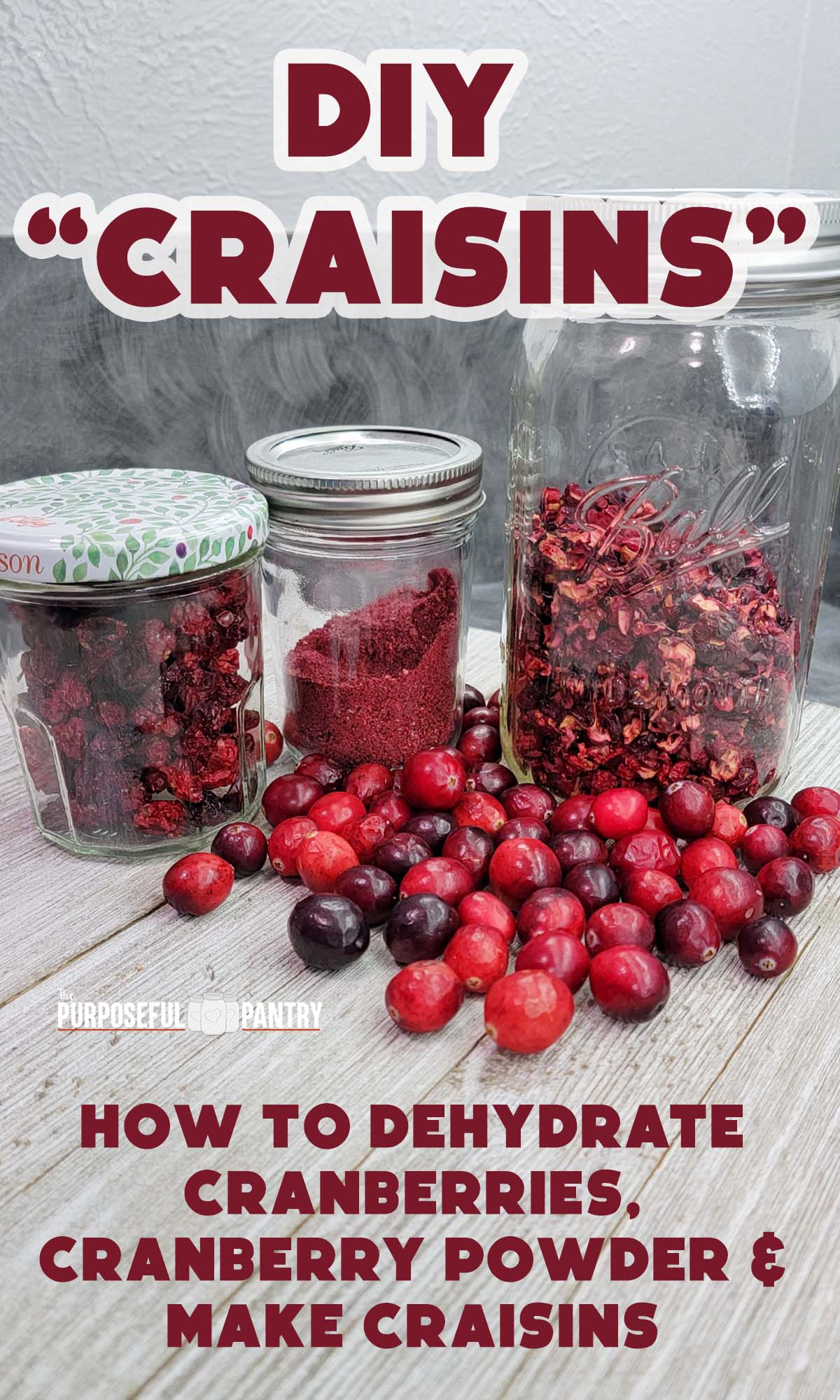 How to Dehydrate Cranberries and DIY Craisins The Purposeful Pantry