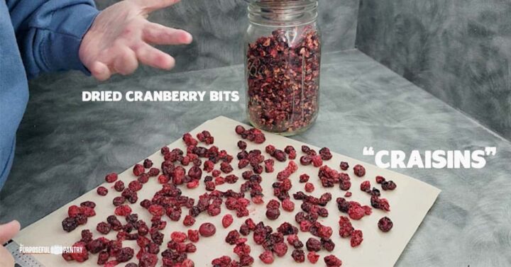Dried cranberries in a jar and diy craisins on a dehydrator sheet