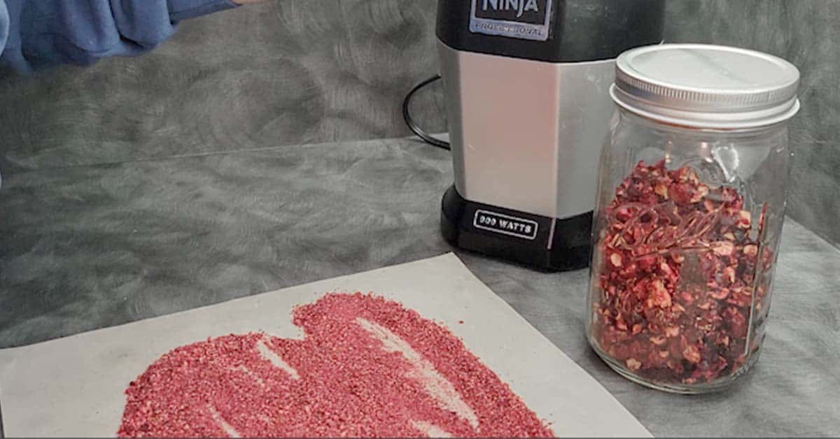 Dried cranberry bits in a jar and cranberry powder on a dehydrator sheet