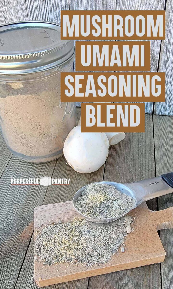 Umami In A Jar aka Mushroom Powder Seasoning - Wonderfully Made and Dearly  Loved