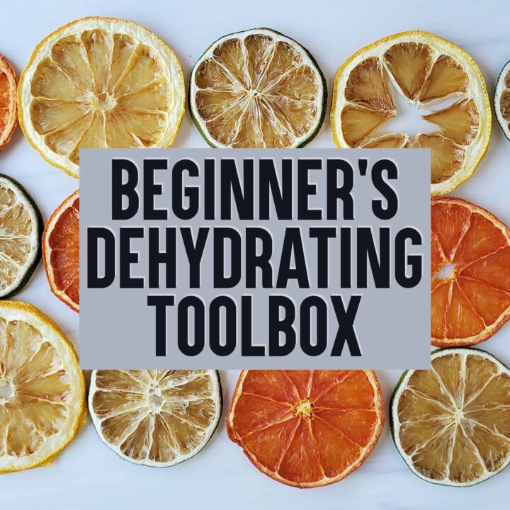 dehydrated citrus slices as the background to title Beginner's Dehydrating Toolbox
