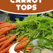 Carrot tops being made into green powder in this Pinterest image