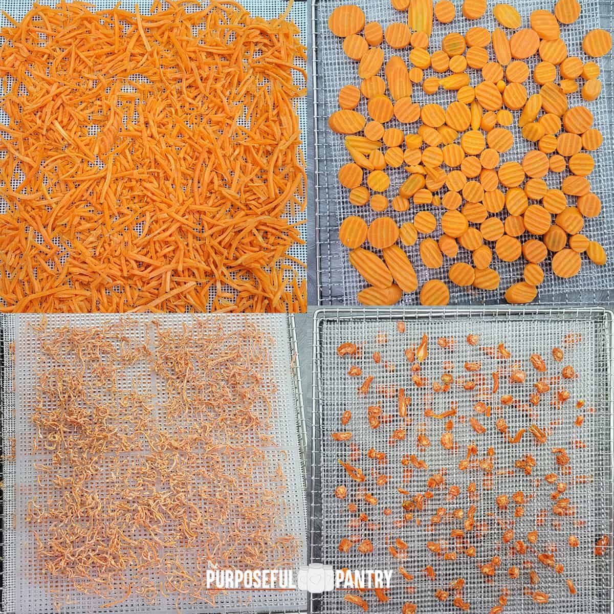 Dehydrated carrot shreds and coins before and after