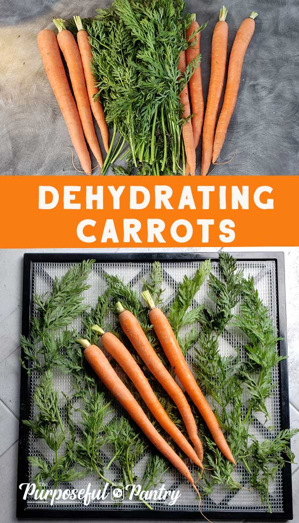 How to Dehydrate Carrots (+Video) The Purposeful Pantry