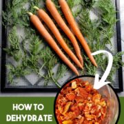 Dehydrating carrots!