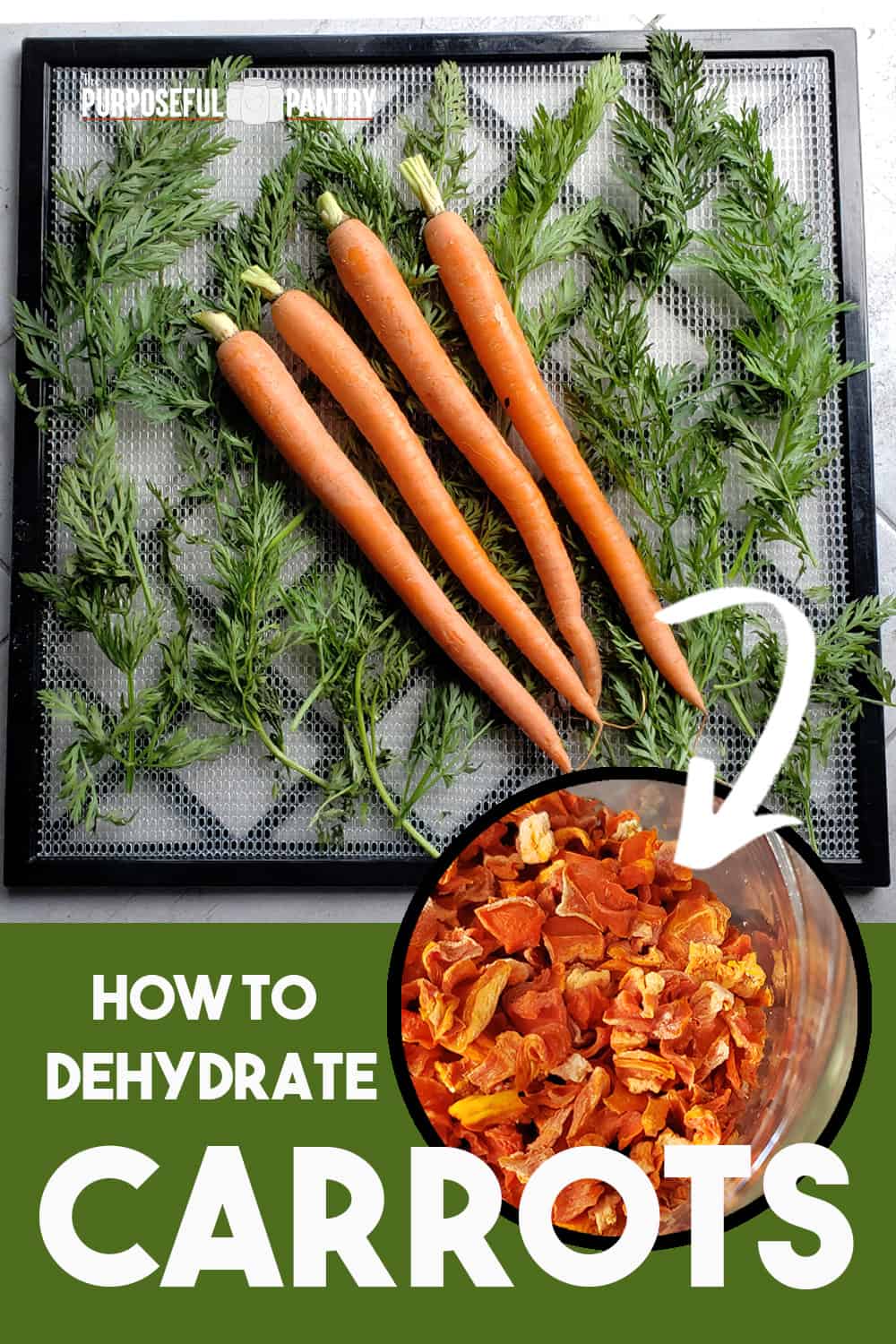 Dehydrating carrots!
