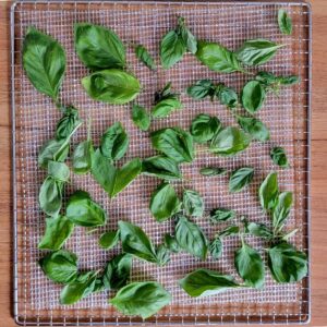 Dehydrated basil leaves on a cooling rack.