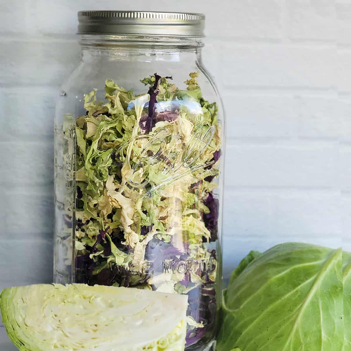 Dehydrated cabbage in a jar with fresh cut cabbage in the foreground